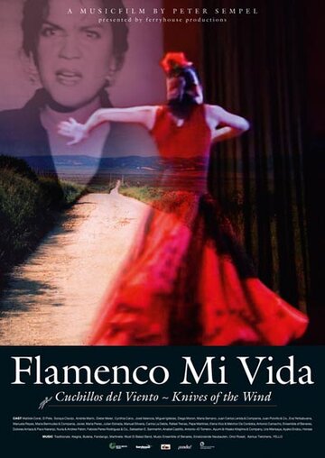 Flamenco mi vida - Knives of the wind (2007)