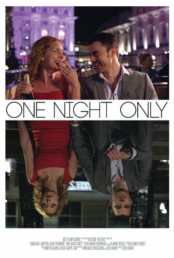 Только на одну ночь (2014)